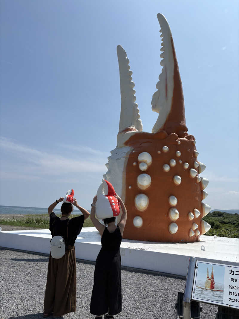 ホノピさんのたきのうえホテル渓谷のサ活写真