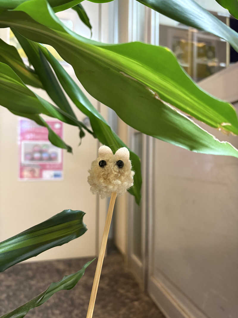 ホノピさんのSPA&SAUNA オスパーのサ活写真