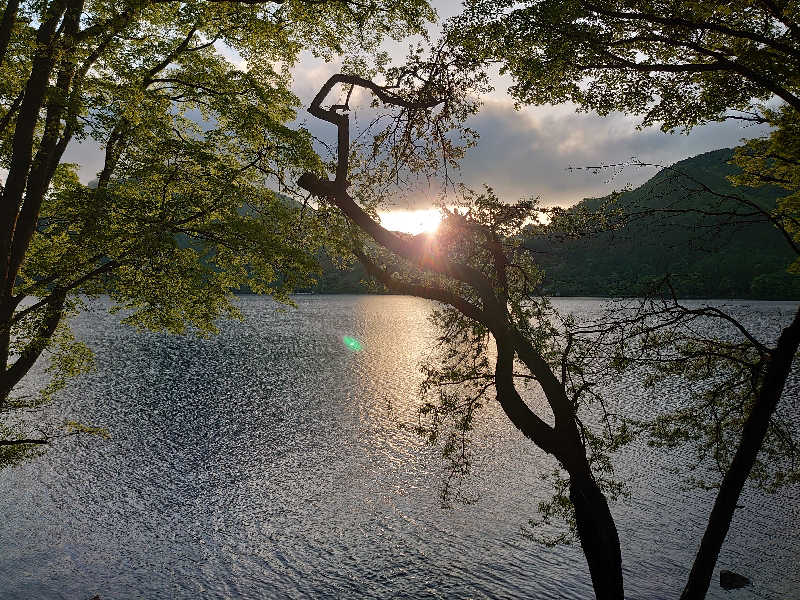 ユ　ミさんの榛名湖温泉ゆうすげ元湯のサ活写真