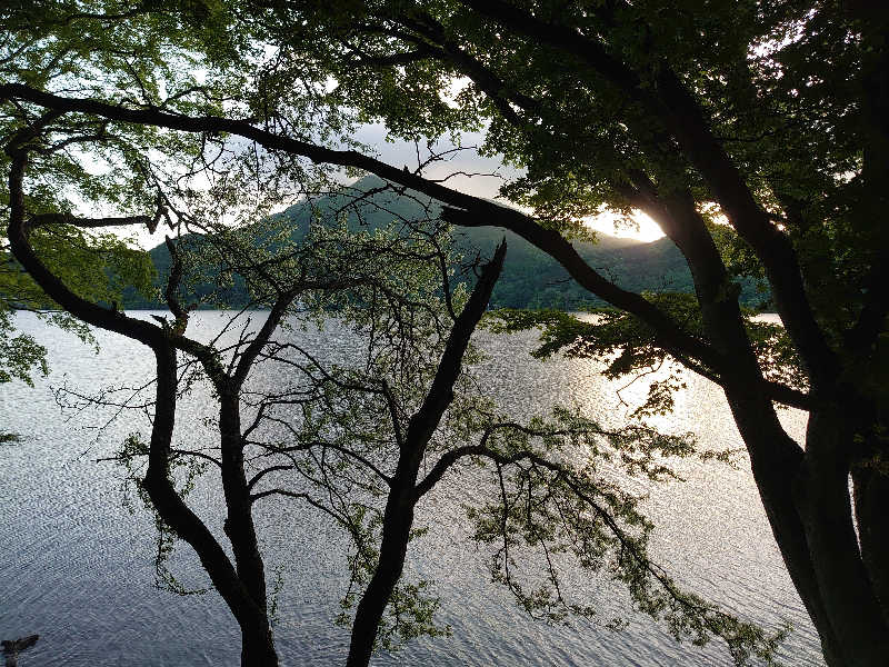 ユ　ミさんの榛名湖温泉ゆうすげ元湯のサ活写真