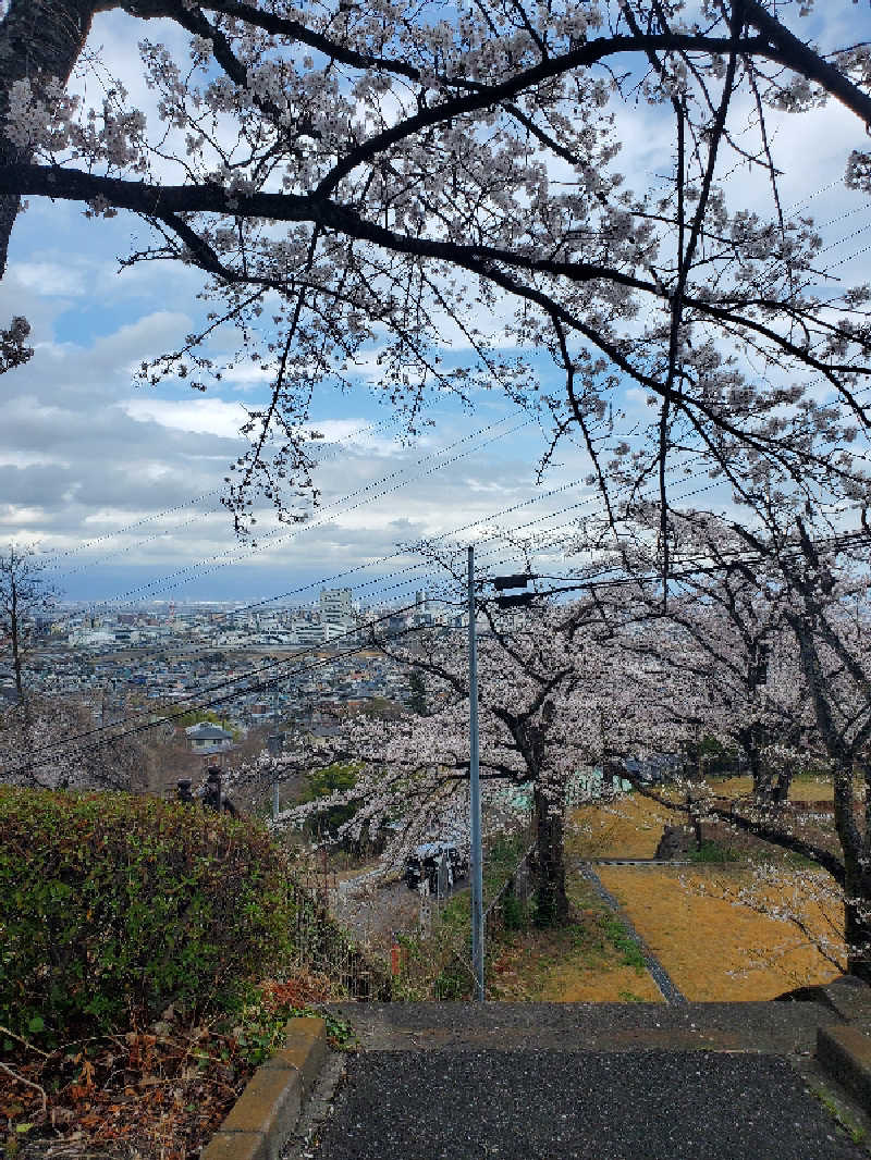 れんくんさんの観音山サウナ蒸寺のサ活写真