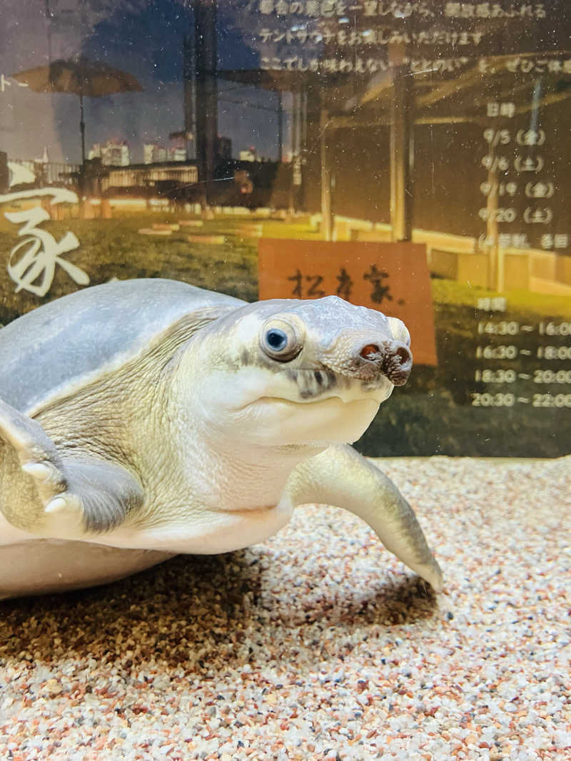 さうにゃさんの松本湯のサ活写真