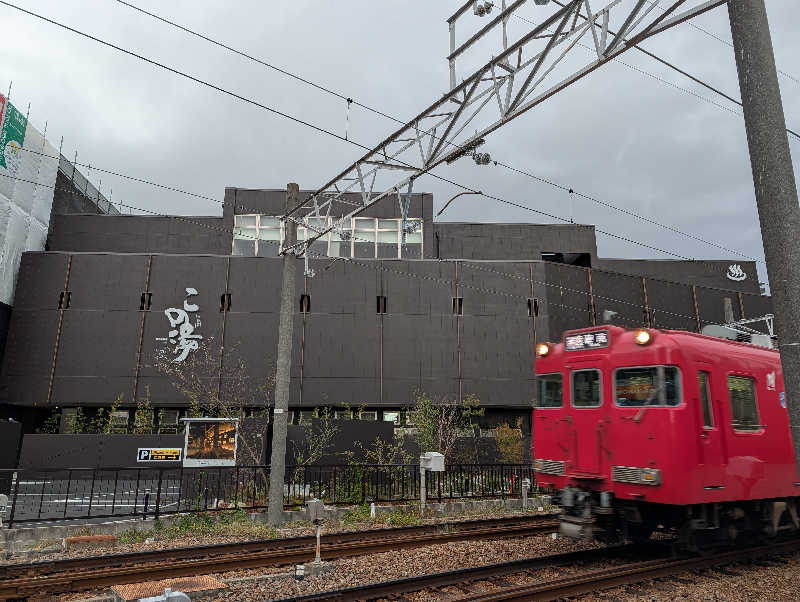 ドナウ川の漣さんの天然温泉 この湯のサ活写真