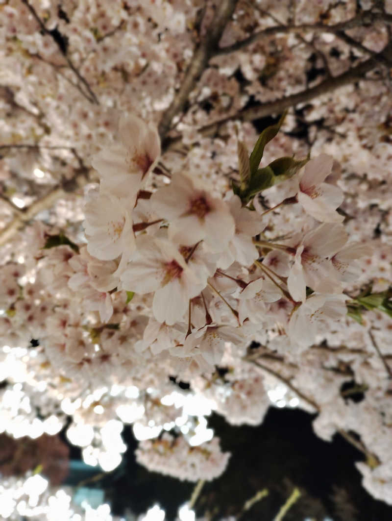 tamikayaさんのあさひ温泉のサ活写真