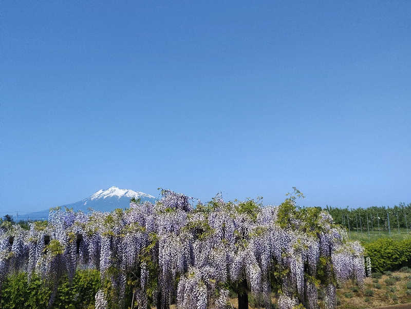 tamikayaさんの境関温泉のサ活写真