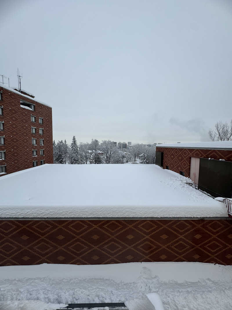 ぽるおさんの森のスパリゾート 北海道ホテルのサ活写真