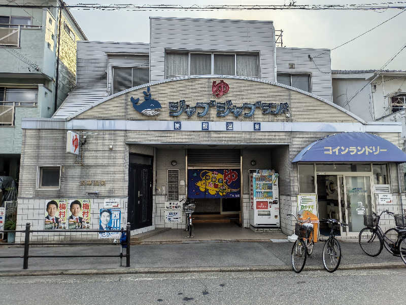 headgeさんの浪華温泉 ジャブジャブランドのサ活写真