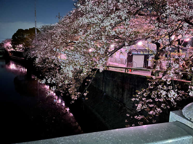 もとニャワタ サウニャ〜さんの笑がおの湯 松戸矢切店のサ活写真