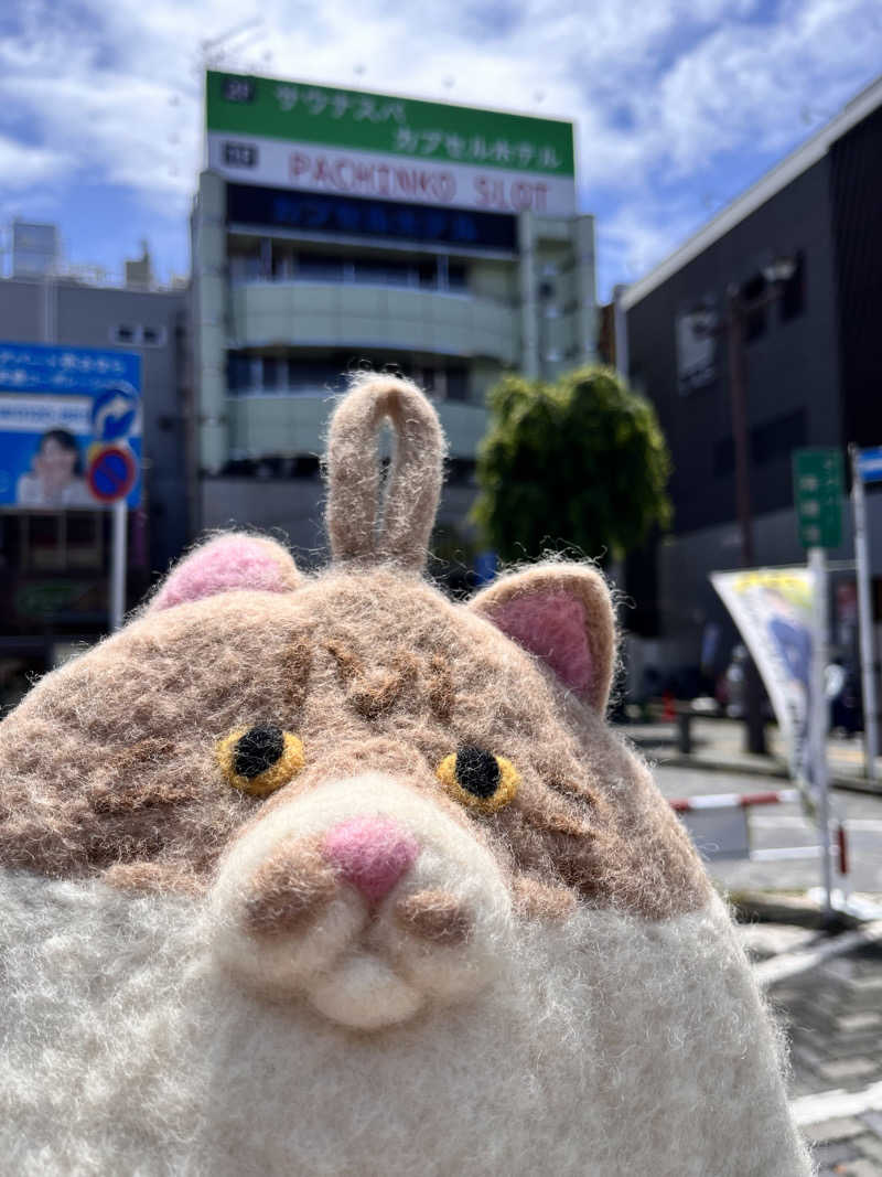 もとニャワタ サウニャ〜さんのサウナ&カプセルホテルレインボー本八幡店のサ活写真