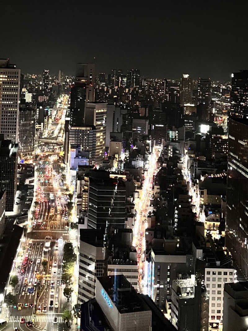 もとニャワタ サウニャ〜さんのザ・リッツカールトン大阪のサ活写真