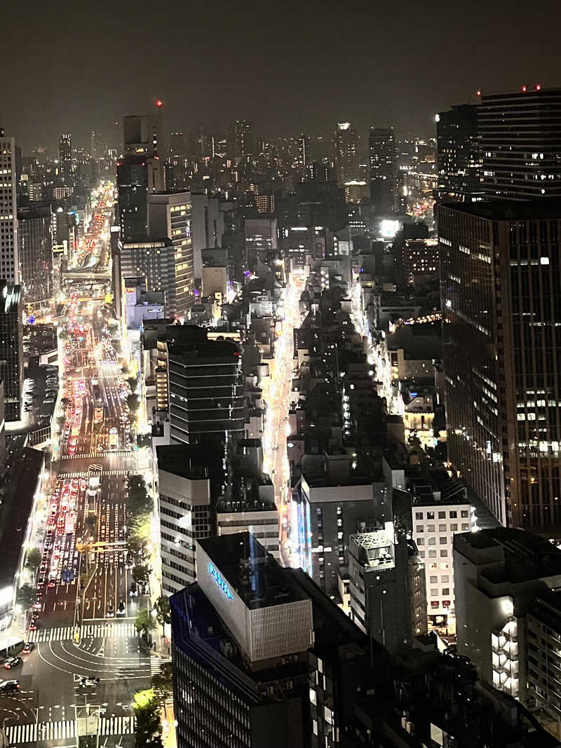 もとニャワタ サウニャ〜さんのホテルインターゲート大阪 梅田のサ活写真