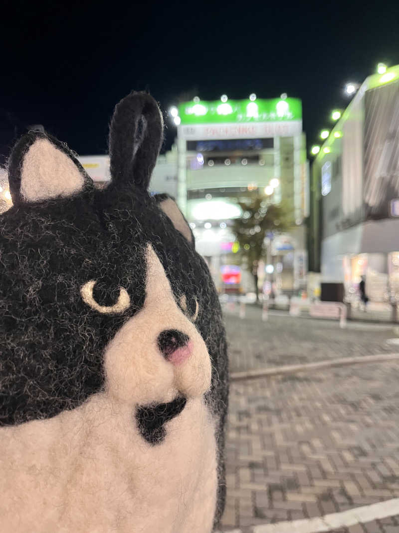 もとニャワタ サウニャ〜さんのサウナ&カプセルホテルレインボー本八幡店のサ活写真