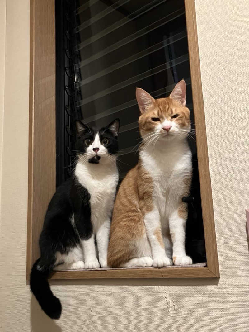 もとニャワタ サウニャ〜さんの柳湯のサ活写真