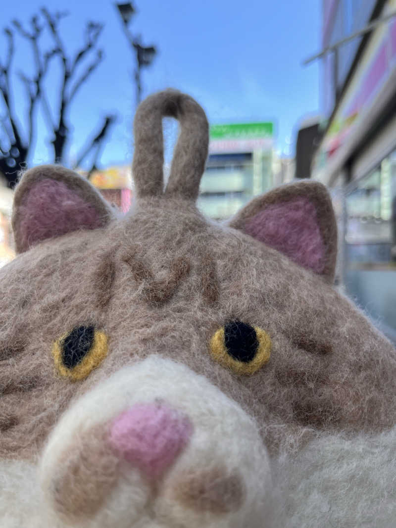 もとニャワタ サウニャ〜さんのサウナ&カプセルホテルレインボー本八幡店のサ活写真
