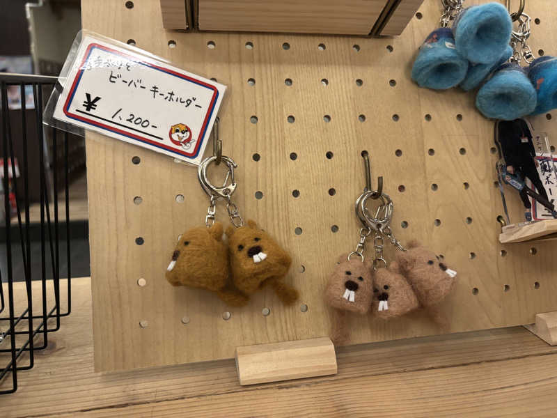 asuka.さんのなにわ健康ランド 湯〜トピアのサ活写真