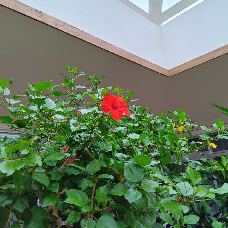 山手さんの安平町ぬくもりの湯のサ活写真