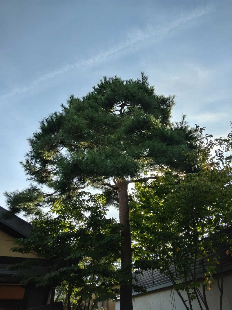 まるこーさんの満天の湯 富山店のサ活写真