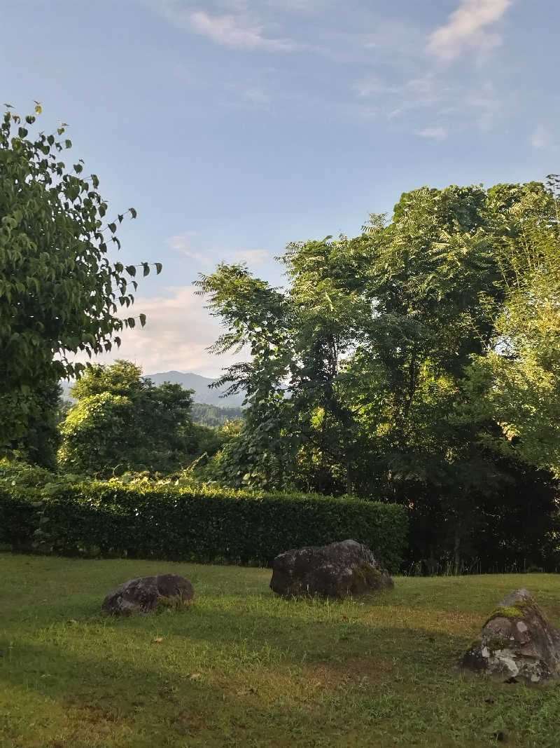 まるこさんの八尾ゆめの森ゆうゆう館のサ活写真