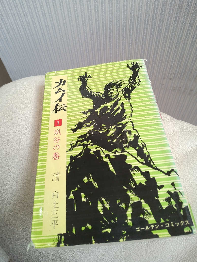 まるこーさんの宮川温泉おんり～湯 (飛騨まんが王国)のサ活写真