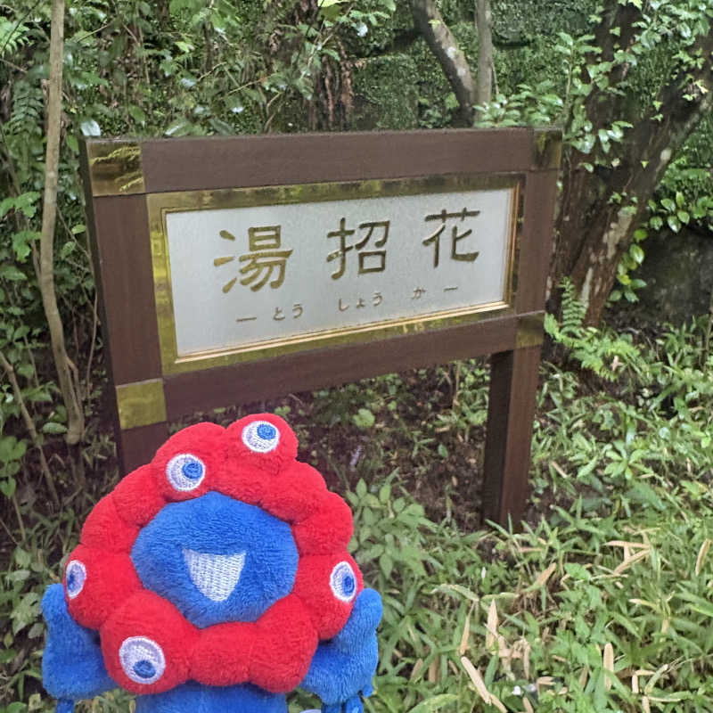 ぼんじりはTAREさんの湯泉郷 温泉館 湯招花のサ活写真