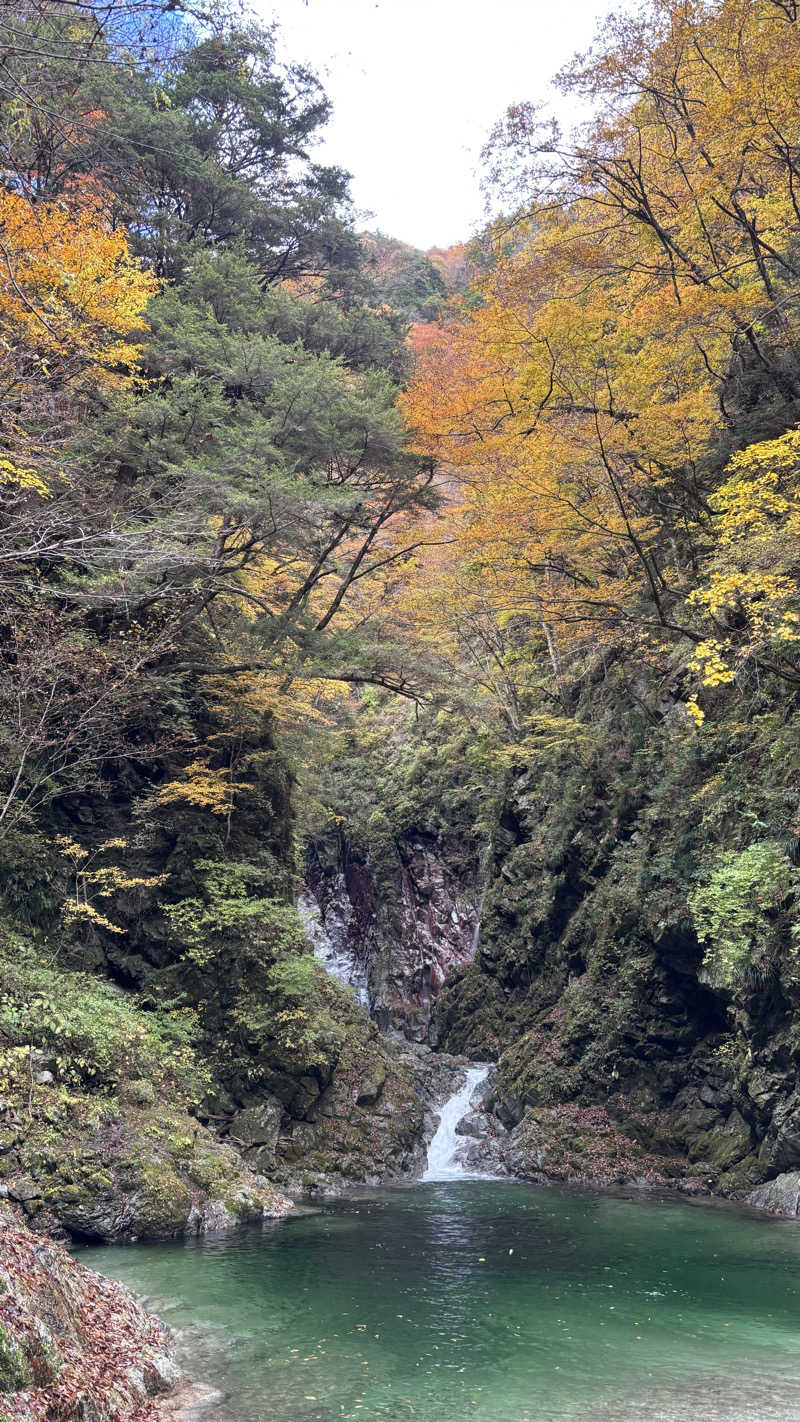 セイウチFM（NOW ON AIR）さんの尾白の湯のサ活写真