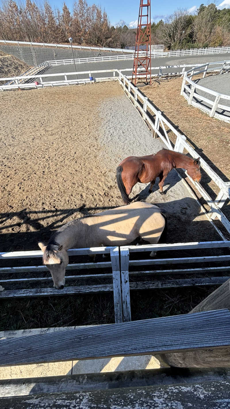 セイウチ最高No.1さんのホテルワイナリーヒル 縄文之御神湯のサ活写真