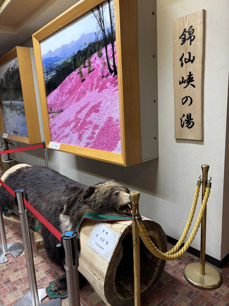 うながきさんのたきのうえホテル渓谷のサ活写真