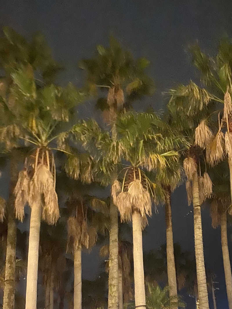 カルビさんのスパ&ホテル 舞浜ユーラシアのサ活写真