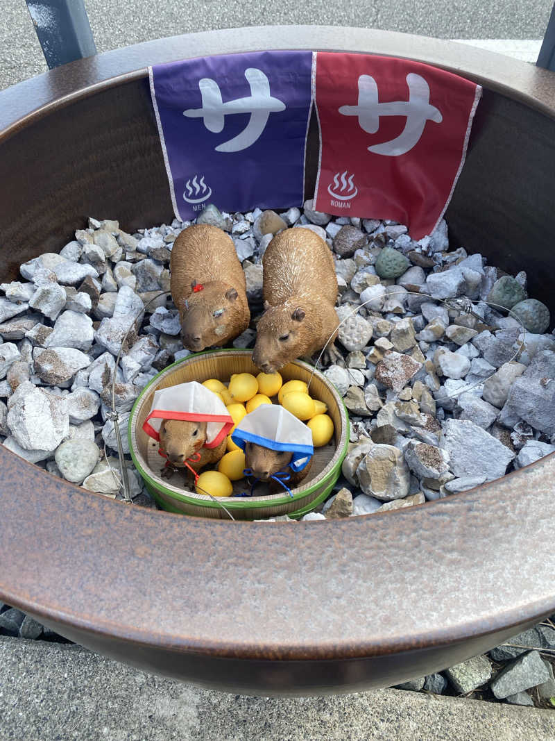 カルビさんの富士山天然水SPA サウナ鷹の湯のサ活写真