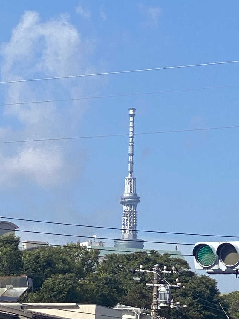 カルビさんの辰巳湯のサ活写真