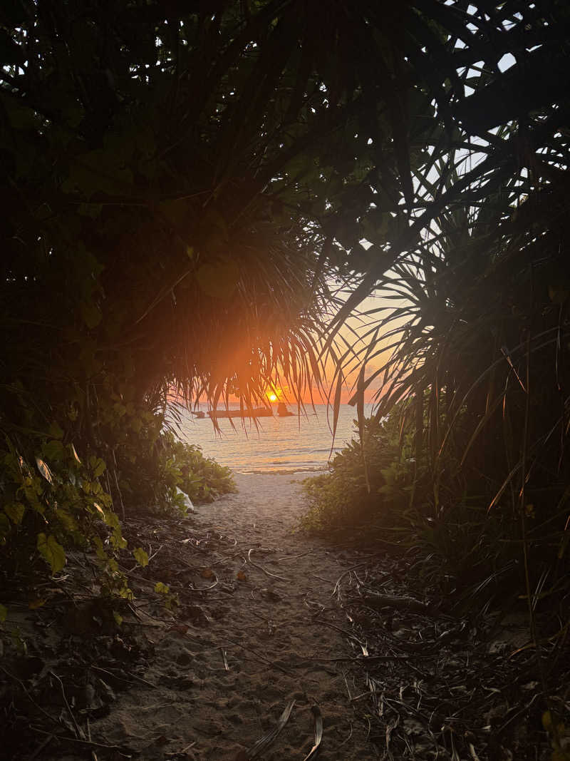 サルーンみきさんのVilla Olooのサ活写真