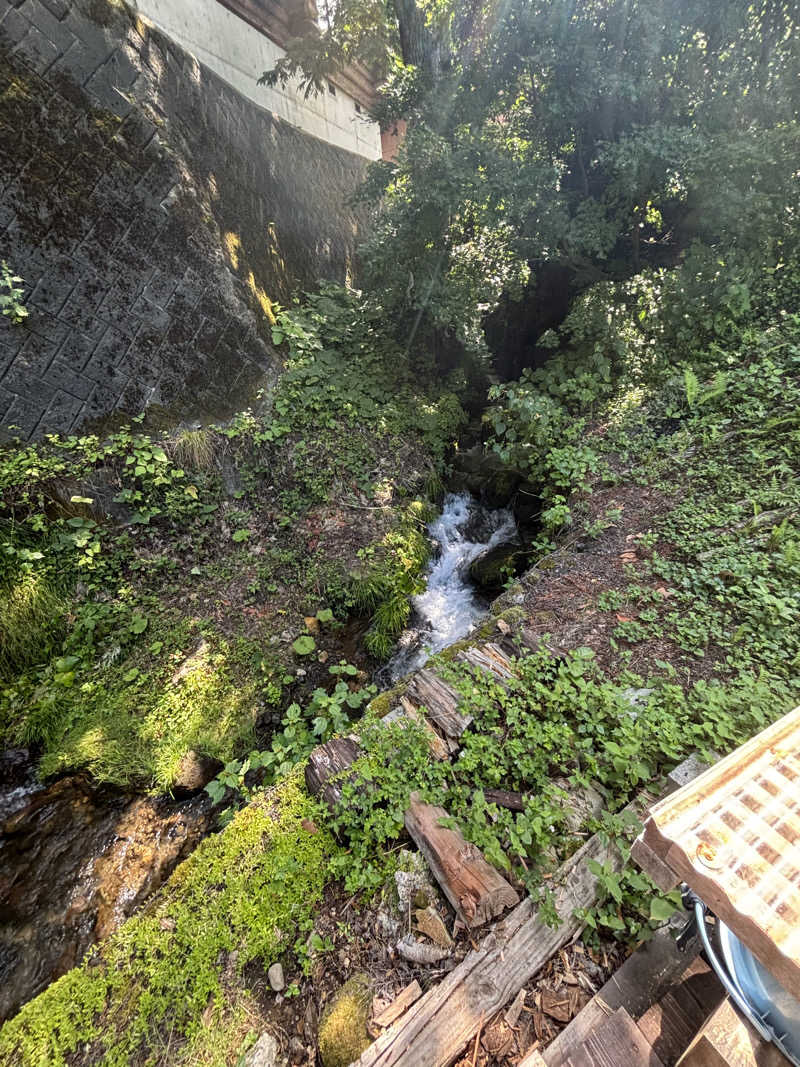 micoさんのハネサウナのサ活写真