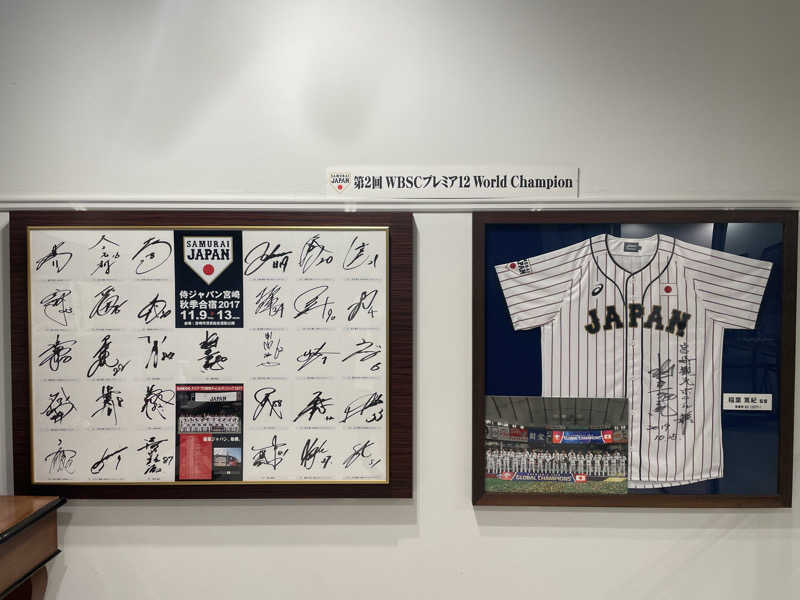 Hiさんのたまゆらの湯 (宮崎観光ホテル)のサ活写真