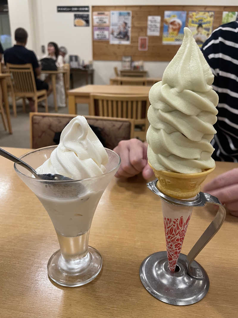 せーなさんの湯乃泉 草加健康センターのサ活写真