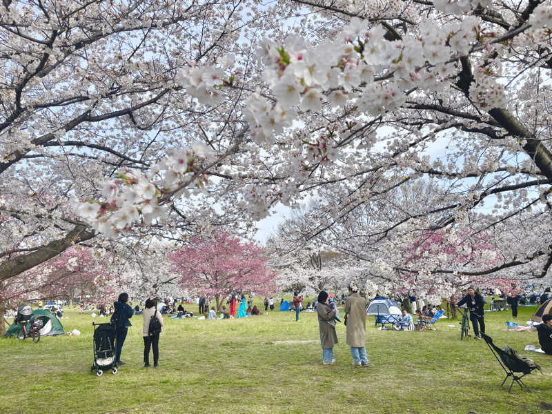 せーさんの竜泉寺の湯 草加谷塚店のサ活写真