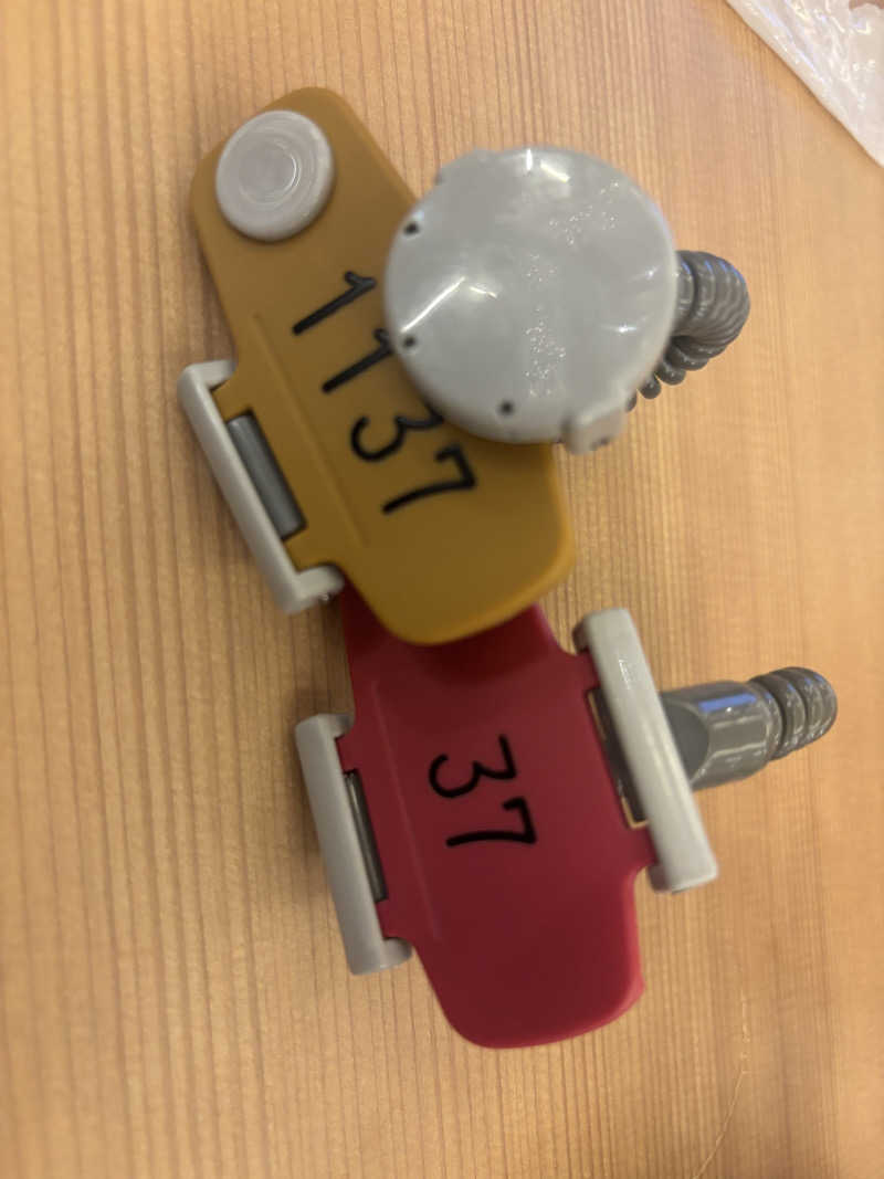 きのこさんの温泉バルコニー キング&クイーンのサ活写真