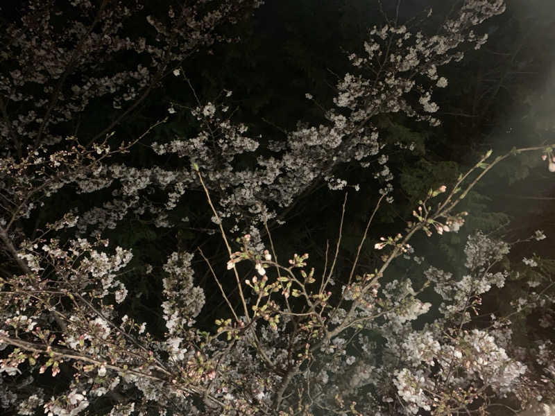 あみさんのゆうだい温泉のサ活写真