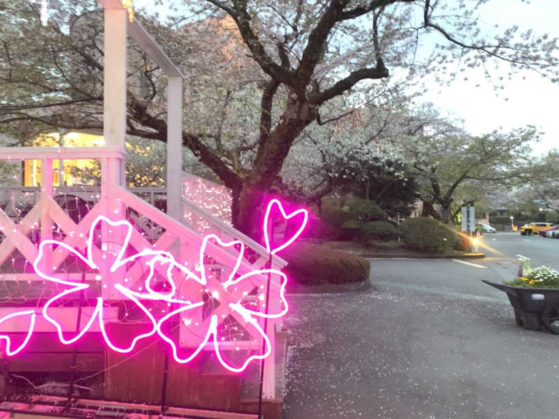 あみさんの御殿場高原 天然温泉 茶目湯殿のサ活写真