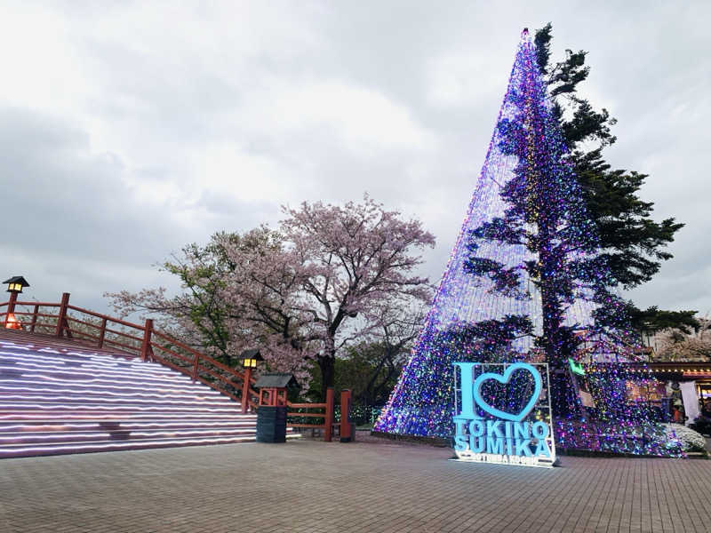 あみさんの御殿場高原 天然温泉 茶目湯殿のサ活写真