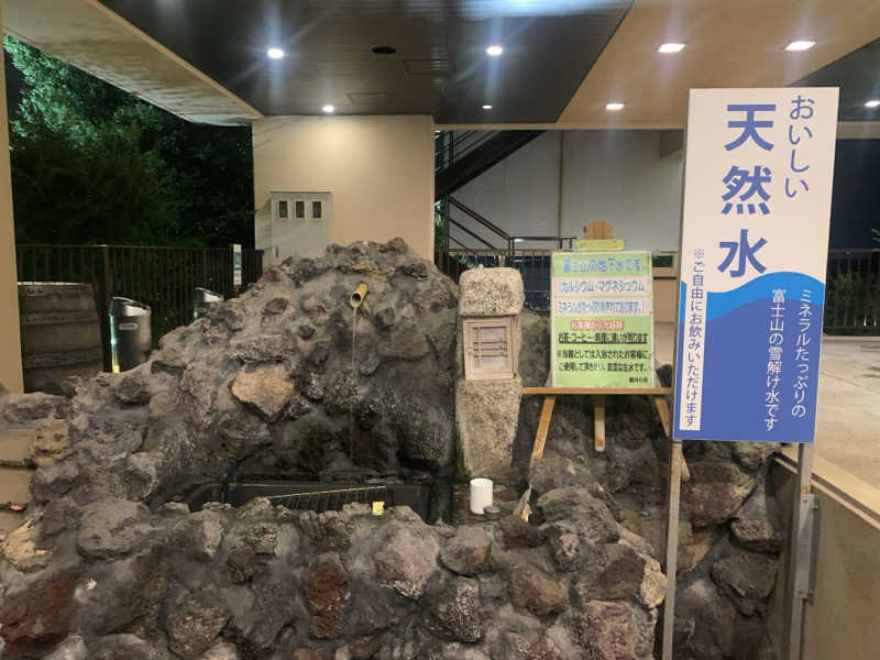 あみさんの駿河の湯 坂口屋のサ活写真