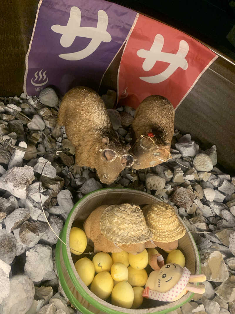 あみさんの富士山天然水SPA サウナ鷹の湯のサ活写真