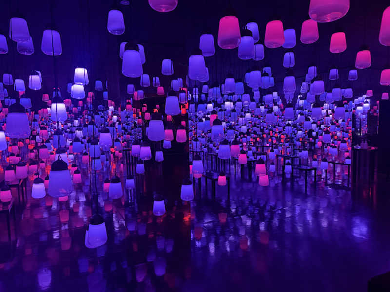 サウナが好きなクマさんの御船山楽園ホテル  らかんの湯のサ活写真