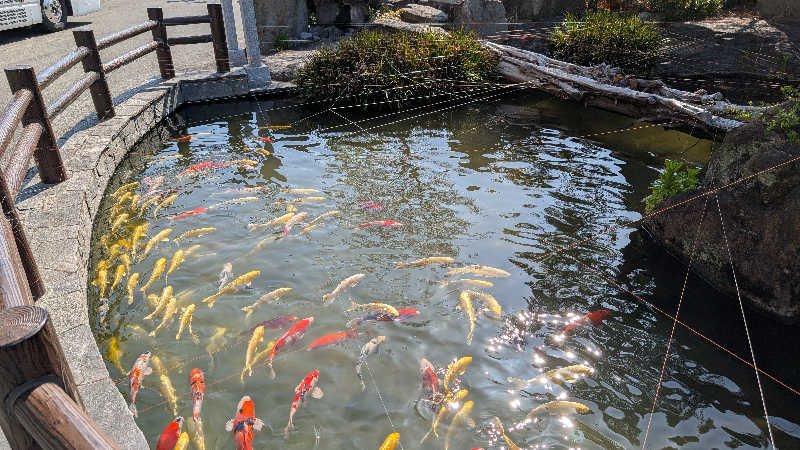 丼ちゃんさんの石和健康ランドのサ活写真
