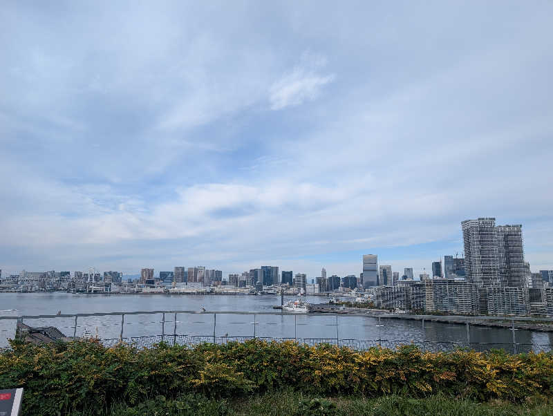 丼ちゃんさんの東京豊洲 万葉倶楽部のサ活写真