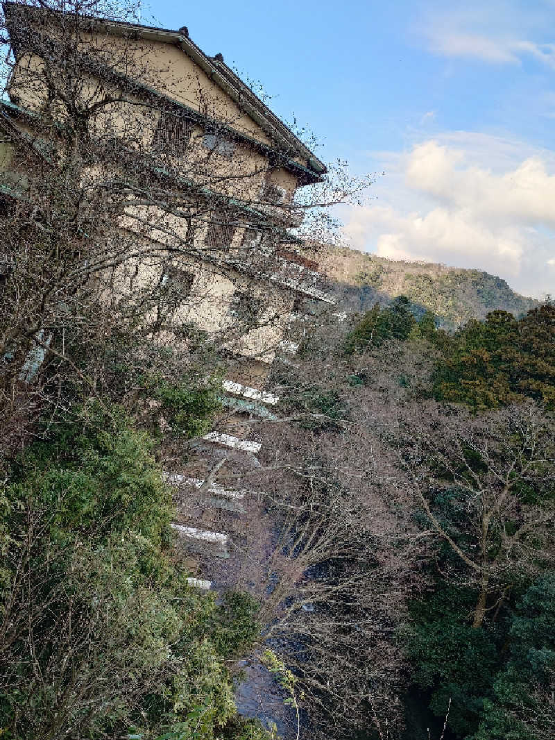 dennisbergkampさんの大江戸温泉物語Premium よしのや依緑園のサ活写真