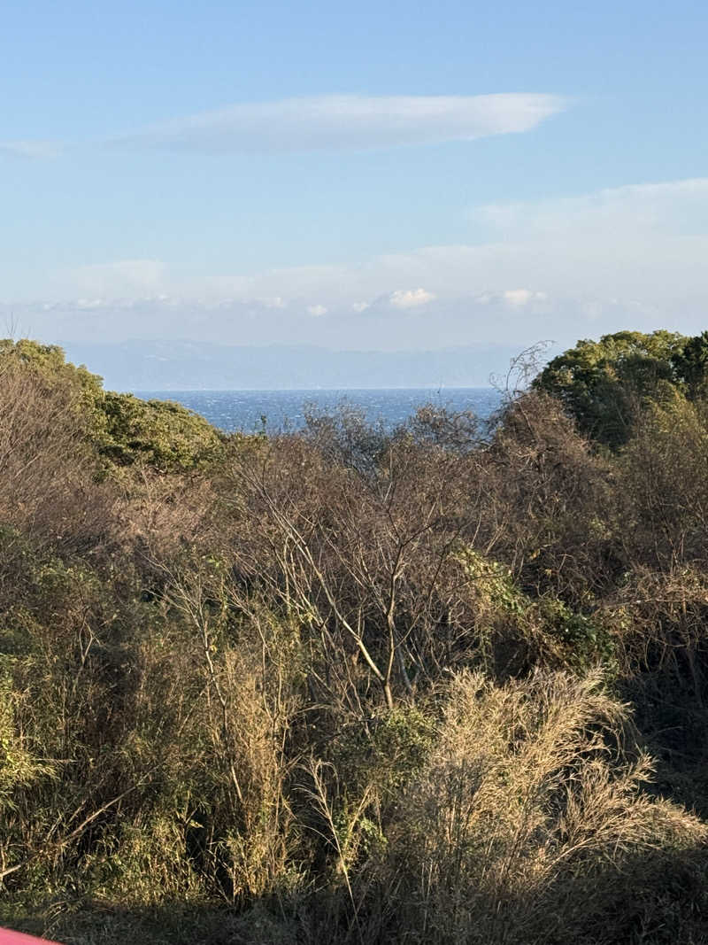 朋矢さんのリバティーリゾート久能山のサ活写真