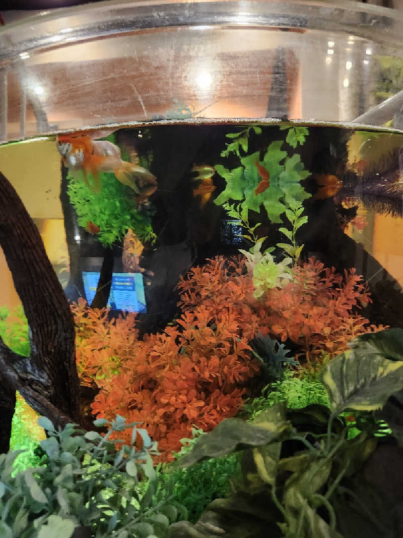 Kazusaunaさんのウェルビー福岡のサ活写真