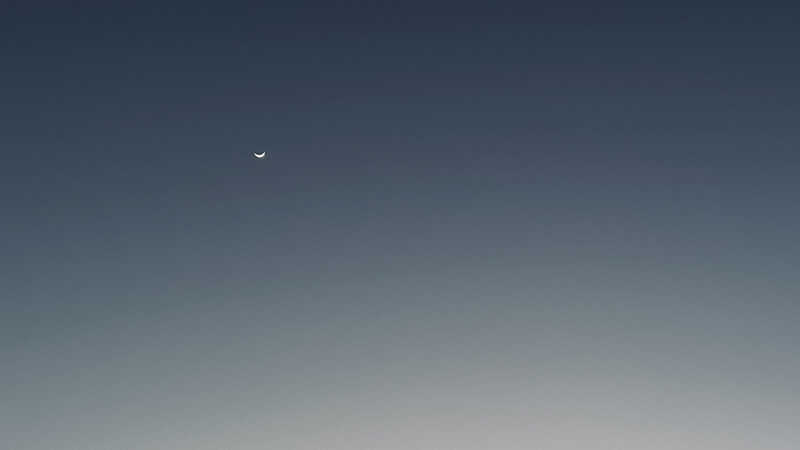 サウナハットハトさんのヨコヤマユーランド緑のサ活写真