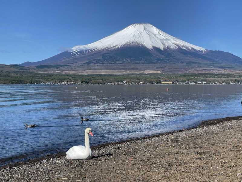 みわりんさんのホテルマウント富士のサ活写真