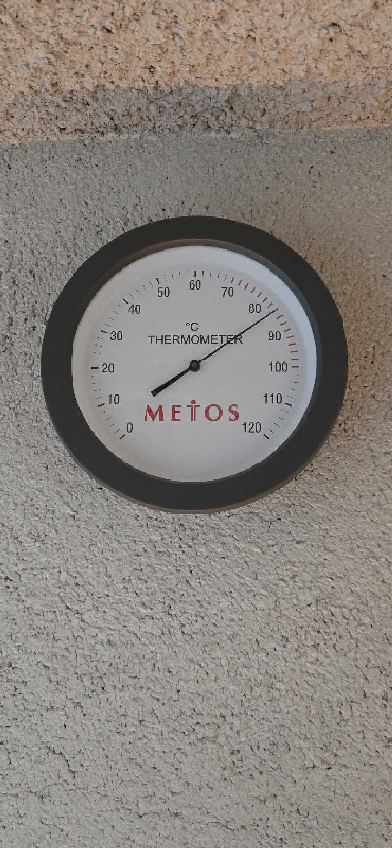 とびたくんさんの伊豆稲取温泉 食べるお宿 浜の湯のサ活写真